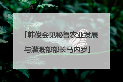 韩俊会见秘鲁农业发展与灌溉部部长马内罗