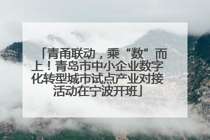 青甬联动，乘“数”而上！青岛市中小企业数字化转型城市试点产业对接活动在宁波开班