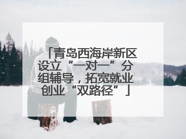 青岛西海岸新区设立“一对一”分组辅导，拓宽就业创业“双路径”