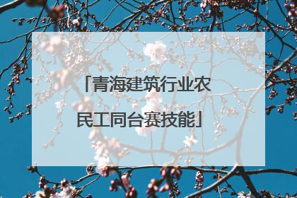 青海建筑行业农民工同台赛技能