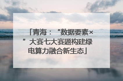 青海：“数据要素×”大赛七大赛题构建绿电算力融合新生态