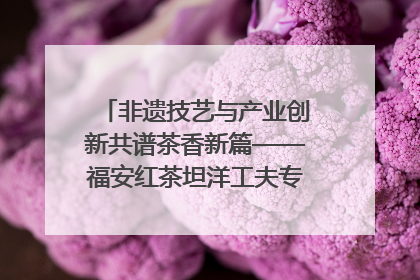 非遗技艺与产业创新共谱茶香新篇——福安红茶坦洋工夫专场推介会在京举办