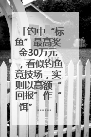 钓中“标鱼”最高奖金30万元，看似钓鱼竞技场，实则以高额“回报”作“饵”……｜今晚九点半