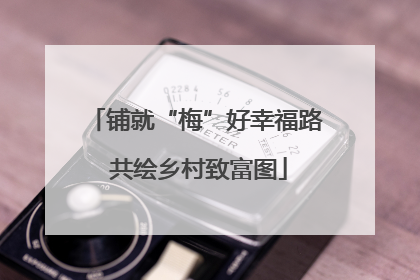 铺就“梅”好幸福路 共绘乡村致富图