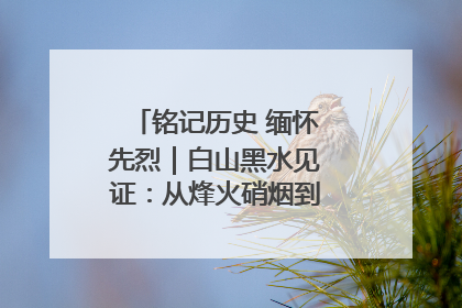 铭记历史 缅怀先烈｜白山黑水见证：从烽火硝烟到振兴热土的巨变