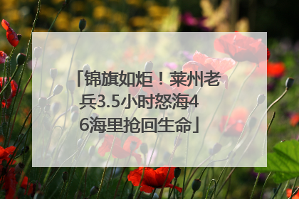 锦旗如炬！莱州老兵3.5小时怒海46海里抢回生命