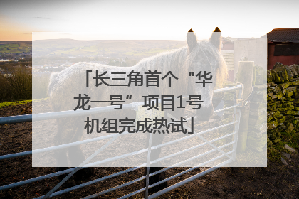 长三角首个“华龙一号”项目1号机组完成热试