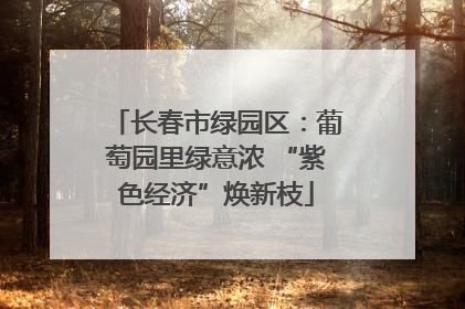 长春市绿园区：葡萄园里绿意浓 “紫色经济”焕新枝