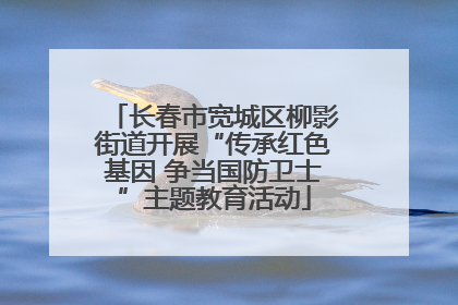 长春市宽城区柳影街道开展“传承红色基因 争当国防卫士”主题教育活动