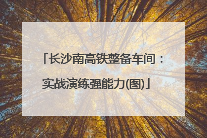 长沙南高铁整备车间：实战演练强能力(图)
