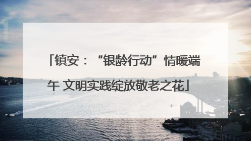 镇安：“银龄行动”情暖端午 文明实践绽放敬老之花