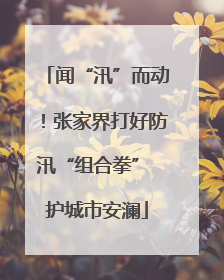 闻“汛”而动！张家界打好防汛“组合拳” 护城市安澜