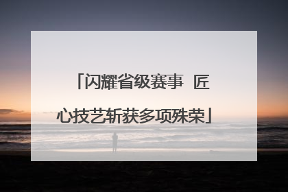 闪耀省级赛事  匠心技艺斩获多项殊荣