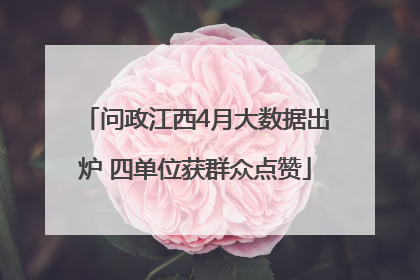问政江西4月大数据出炉 四单位获群众点赞