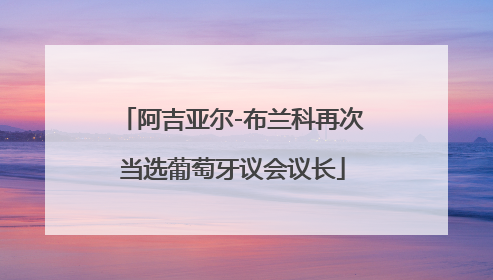 阿吉亚尔-布兰科再次当选葡萄牙议会议长