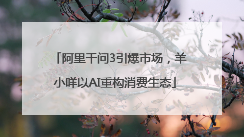 阿里千问3引爆市场，羊小咩以AI重构消费生态