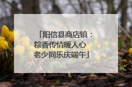 阳信县商店镇：粽香传情暖人心 老少同乐庆端午