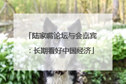 陆家嘴论坛与会嘉宾：长期看好中国经济