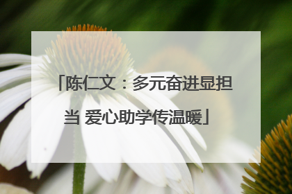 陈仁文：多元奋进显担当 爱心助学传温暖