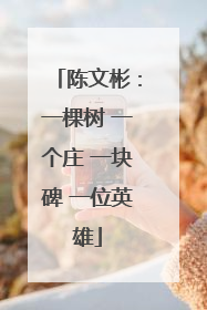 陈文彬：一棵树 一个庄 一块碑 一位英雄