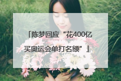 陈梦回应“花400亿买奥运会单打名额”