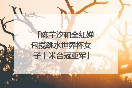 陈芋汐和全红婵包揽跳水世界杯女子十米台冠亚军
