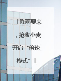 降雨要来，抢收小麦开启“倍速模式”