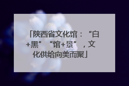 陕西省文化馆：“白+黑”“馆+景”，文化供给向美而聚