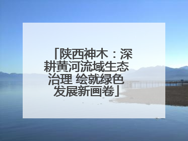 陕西神木：深耕黄河流域生态治理 绘就绿色发展新画卷