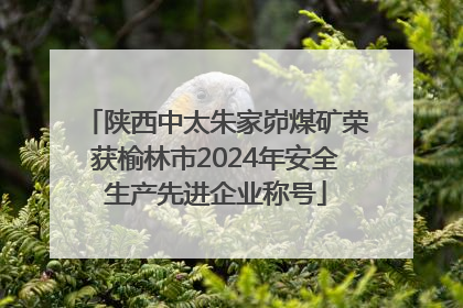 陕西中太朱家峁煤矿荣获榆林市2024年安全生产先进企业称号