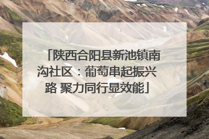 陕西合阳县新池镇南沟社区：葡萄串起振兴路 聚力同行显效能