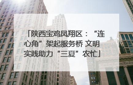 陕西宝鸡凤翔区：“连心角”架起服务桥 文明实践助力“三夏”农忙