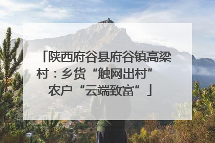 陕西府谷县府谷镇高梁村：乡货“触网出村” 农户“云端致富”