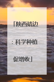 陕西靖边：科学种植促增收