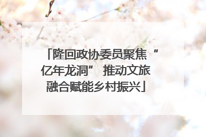 隆回政协委员聚焦“亿年龙洞” 推动文旅融合赋能乡村振兴