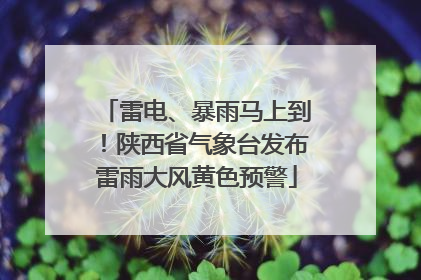 雷电、暴雨马上到！陕西省气象台发布雷雨大风黄色预警