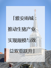 雅安雨城：推动生猪产业实现规模与效益双重跃升