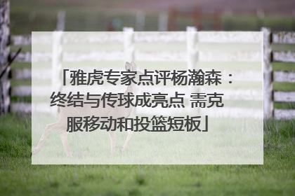 雅虎专家点评杨瀚森：终结与传球成亮点 需克服移动和投篮短板