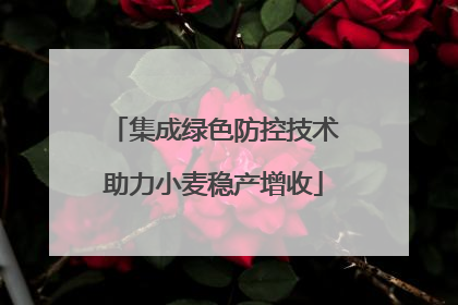 集成绿色防控技术助力小麦稳产增收