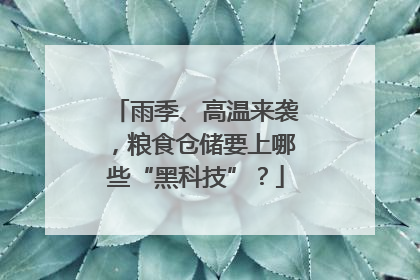 雨季、高温来袭，粮食仓储要上哪些“黑科技”？