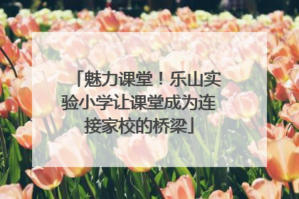 魅力课堂！乐山实验小学让课堂成为连接家校的桥梁
