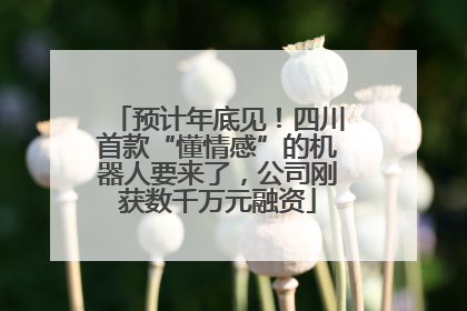 预计年底见！四川首款“懂情感”的机器人要来了，公司刚获数千万元融资