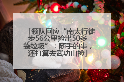 领队回应“南太行徒步56公里捡出50多袋垃圾”：随手的事，还打算去武功山捡
