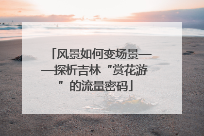 风景如何变场景——探析吉林“赏花游”的流量密码