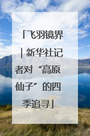 飞羽镜界｜新华社记者对“高原仙子”的四季追寻