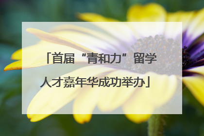 首届“青和力”留学人才嘉年华成功举办