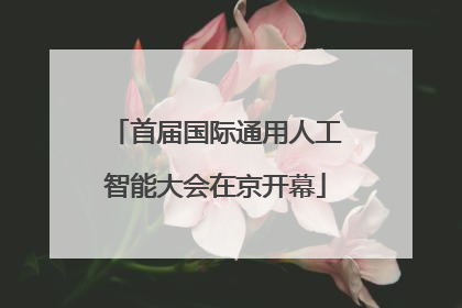 首届国际通用人工智能大会在京开幕