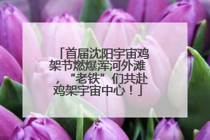 首届沈阳宇宙鸡架节燃爆浑河外滩，“老铁”们共赴鸡架宇宙中心！