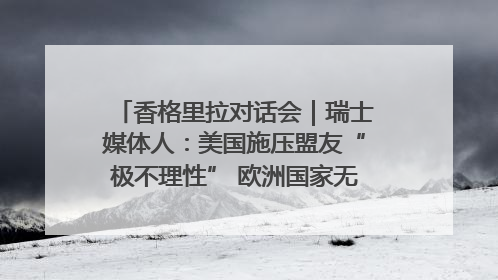 香格里拉对话会｜瑞士媒体人：美国施压盟友“极不理性” 欧洲国家无意与中国“脱钩断链”