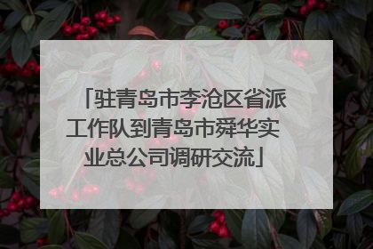 驻青岛市李沧区省派工作队到青岛市舜华实业总公司调研交流